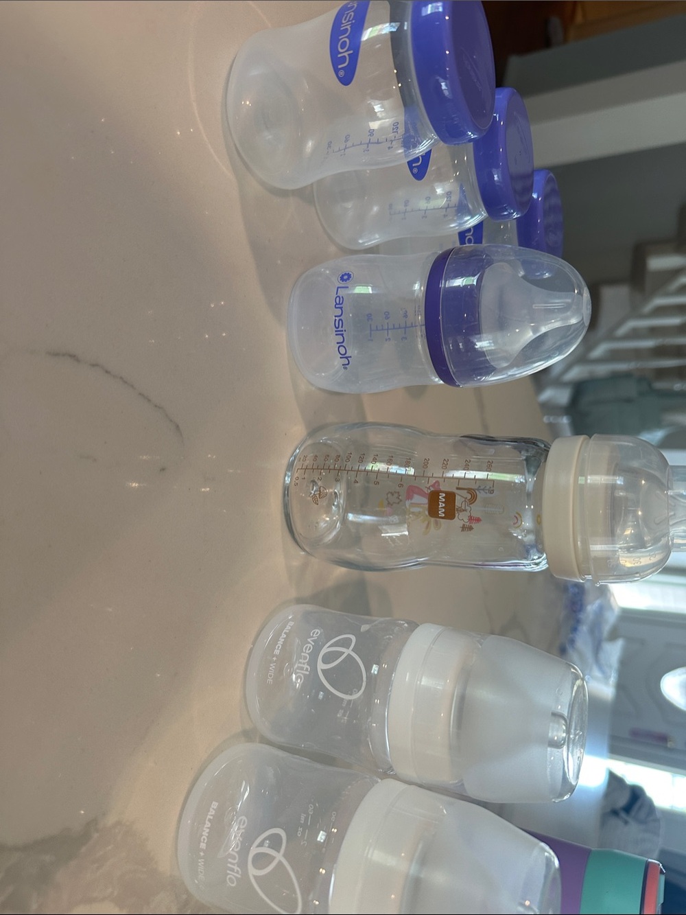 Baby Bottle Bundle